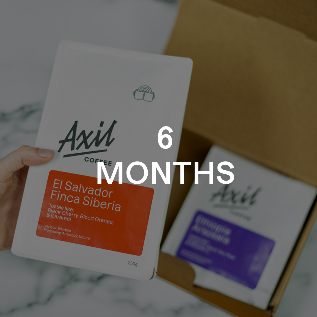 Gift Subscription - 6 Months